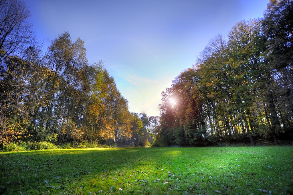Chateau Hostacov Hotel Bagian luar foto